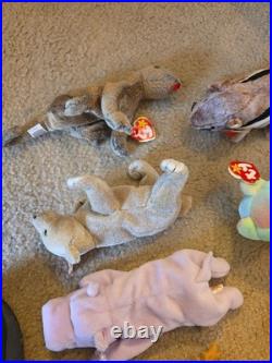 Vtg Ty Beanie Babies All With Tags Rare