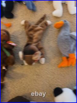 Vtg Ty Beanie Babies All With Tags Rare