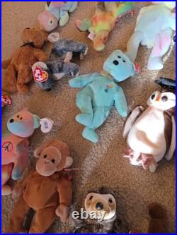 Vtg Ty Beanie Babies All With Tags Rare