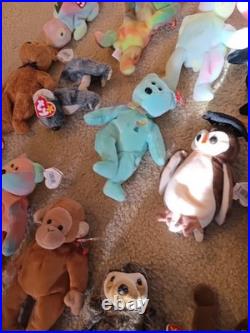 Vtg Ty Beanie Babies All With Tags Rare