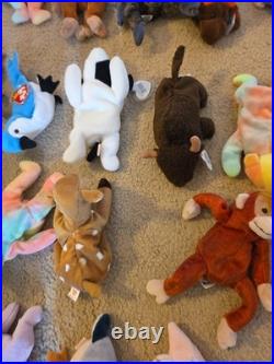 Vtg Ty Beanie Babies All With Tags Rare