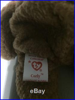 WOW Mint Rare Retired Ty Beanie Baby'Curly' The Bear With Many Errors