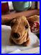 Weenie-the-Dachshund-Dog-Ty-Beanie-Baby-1995-PVC-Rare-Tag-Errors-4013-Mint-01-spa