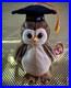 Wise-The-Owl-RARE-ERRORS-See-Description-Ty-Beanie-Babies-1997-01-qo